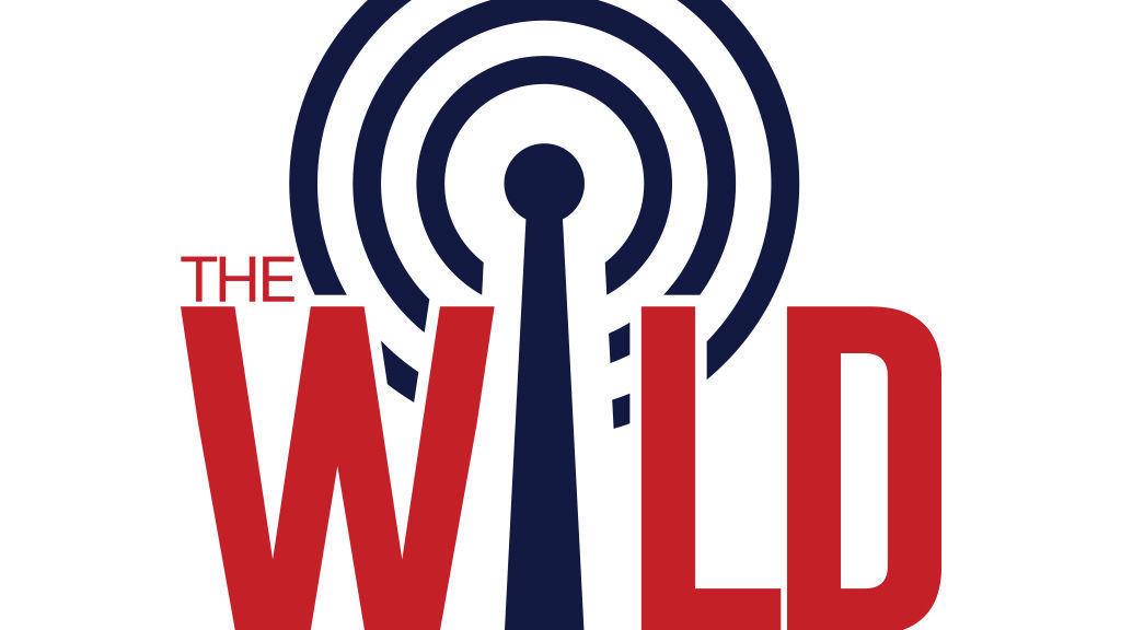 The Wildcast Episode 17:  What happens now for Arizona basketball?